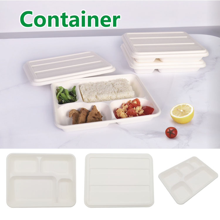 devided Containers.jpg